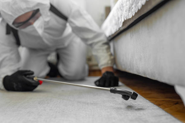 Professional Cockroach Control technician working in Albany, MN